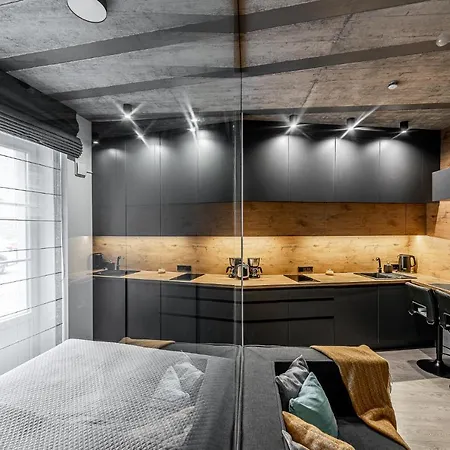 New Modern Designer In The Heart Of Old Town --aircon-- Apartment Wilna